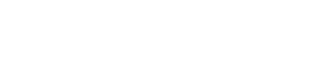 Shree Shyam Logistic Solutions logo